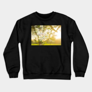 24 karat Crewneck Sweatshirt